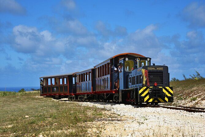 St. Nicholas Abbey & Heritage Railway - Introduction