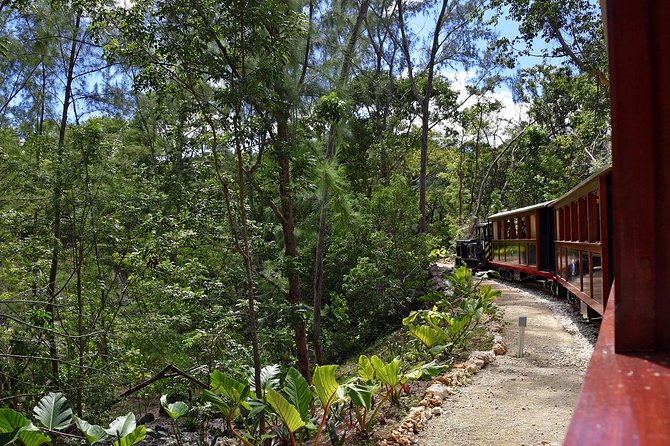St.Nicholas Abbey Heritage Railway - Transportation and Meeting Point