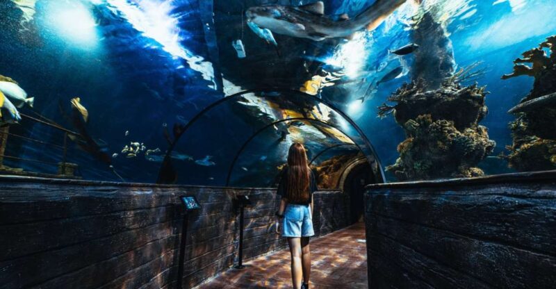 St Pauls Bay: Malta National Aquarium Entry Ticket - Aquarium Experience
