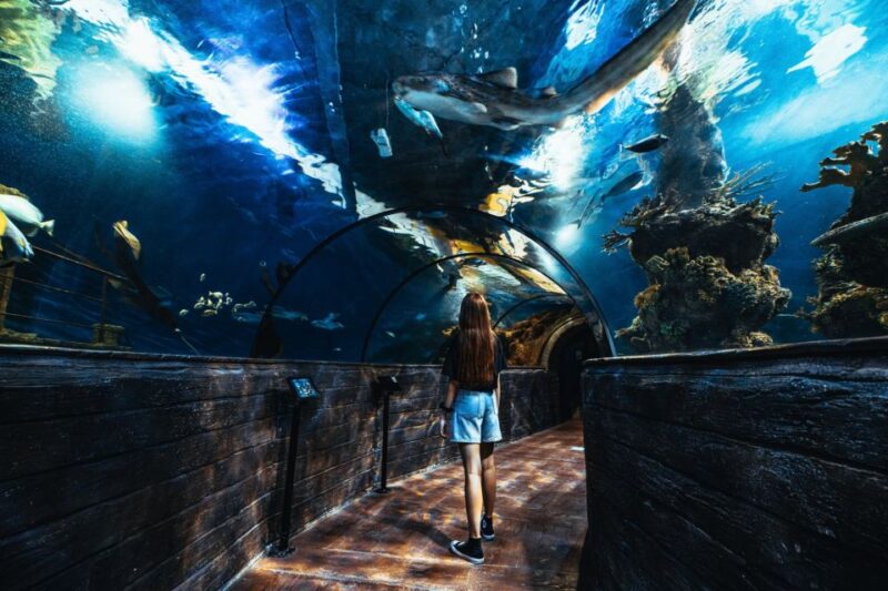 St Pauls Bay: Malta National Aquarium Entry Ticket - Customer Reviews