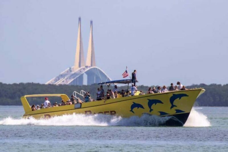 St. Pete Beach: Dolphin Racer Sightseeing Cruise - An Up-C-close Look at the Experience