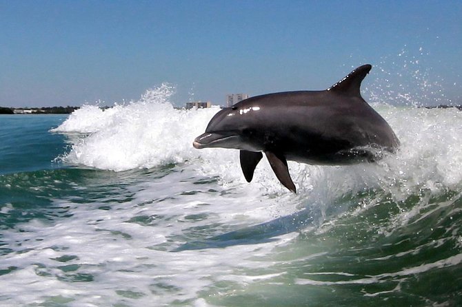 St. Pete Beach Dolphin Racer Speedboat Adventure - Tour Duration and Start Time