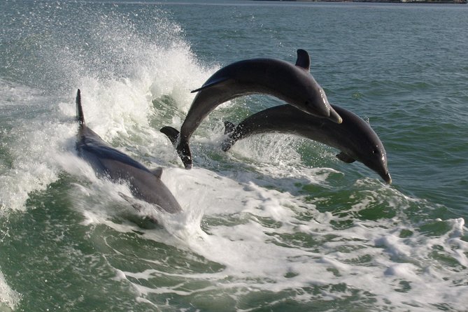 St. Pete Beach Dolphin Racer Speedboat Adventure - Cancellation Policy