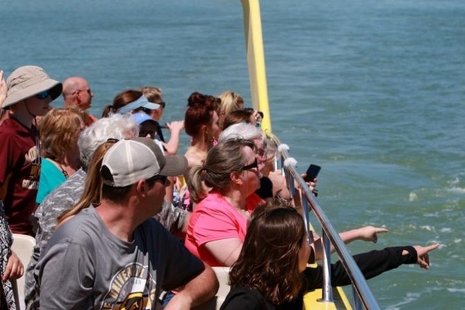 St. Pete Beach Dolphin Racer Speedboat Adventure - Additional Notes