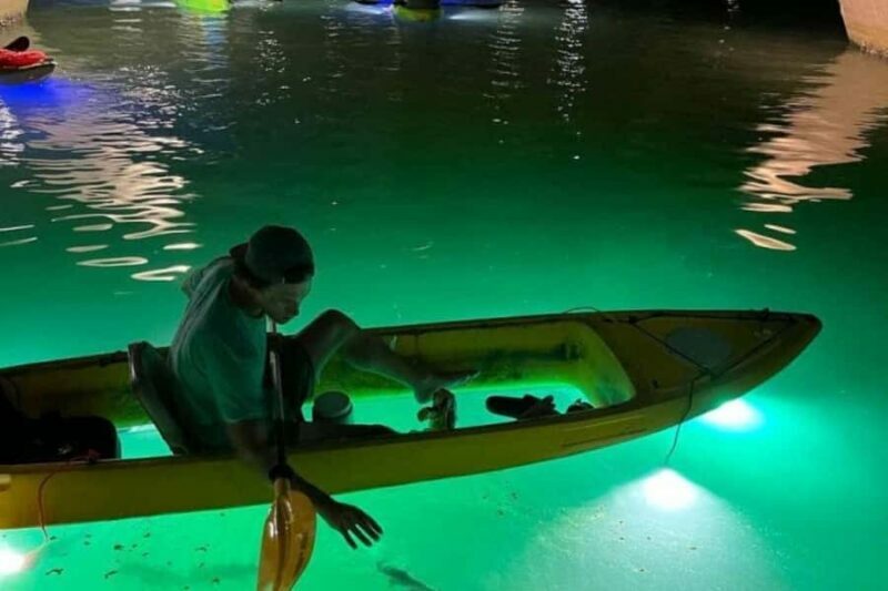 St. Pete Beach: Glass Bottom Kayak Fish Feeding Night Tour - Who Will Love This Tour?