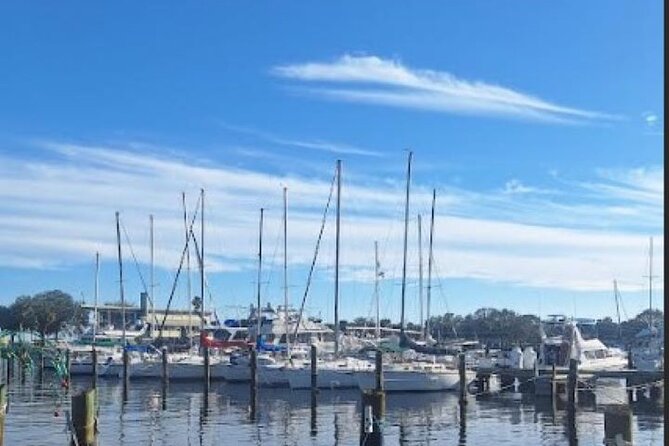 St Pete Sip & Dine- a Walking/Culinary Tour (age 21+) - Booking Information and Cancellation Policy