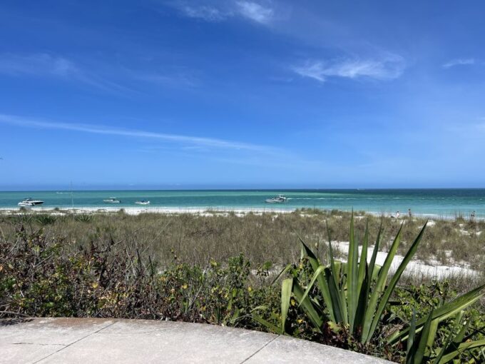 St. Petersburg, FL: 4-Hour Catamaran Cruise to Egmont Key - National Wildlife Refuge Exploration