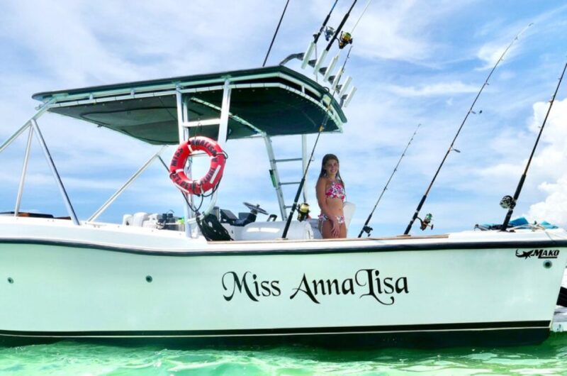 St. Petersburg, FL: Private 2-Hour Dolphin Watching Cruise - Highlights of the Experience