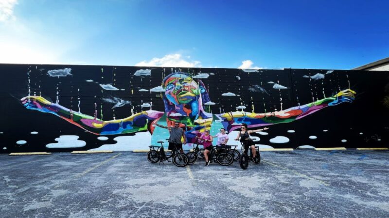 St. Petersburg, FL: Sightseeing & Murals Electric Bike Tour - Key Points