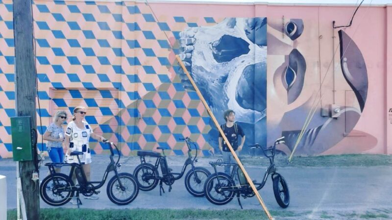 St. Petersburg, FL: Sightseeing & Murals Electric Bike Tour - Participant Restrictions