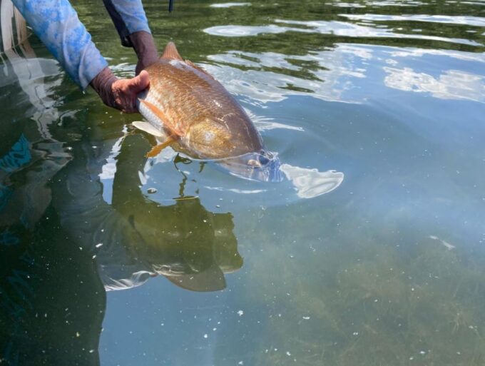 St. Petersburg, FL: Tampa Bay Private Inshore Fishing Trip - Location and Accessibility