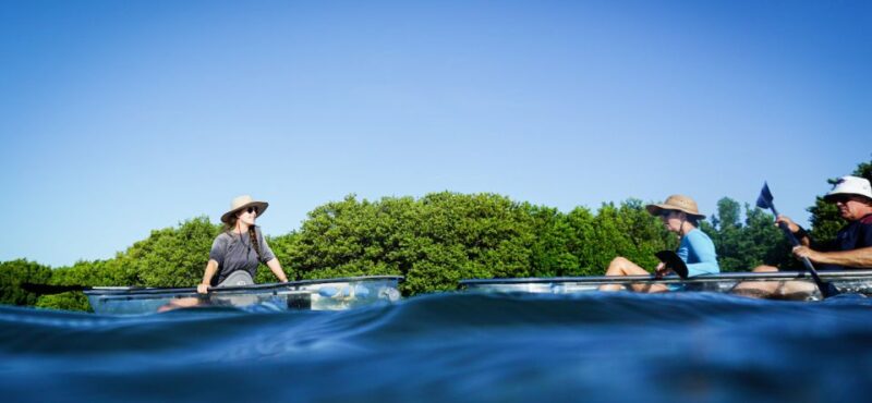 St. Petersburg, FL: Weedon Island Kayak Tour - Key Points