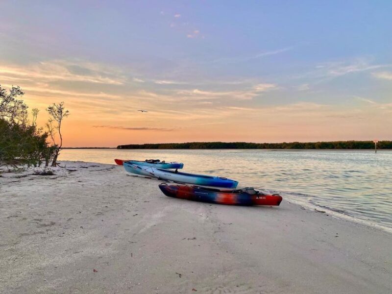 St. Petersburg, FL: Weedon Island Kayak Tour - Experience Highlights