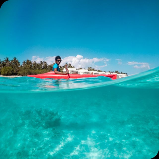 St. Petersburg, FL: Weedon Island Kayak Tour - Inclusions