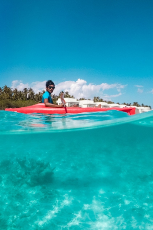 St. Petersburg, FL: Weedon Island Kayak Tour - Preparation and Recommendations