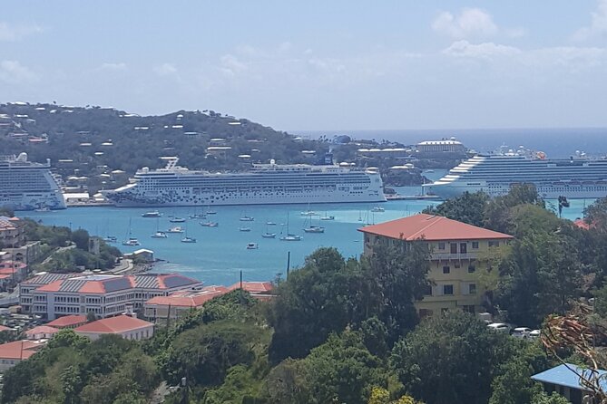 St Thomas Half Day Private Tour (1-10 Ppl) - Guest Experiences