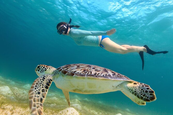 St. Thomas Maho Bay Turtle Snorkel Sail - Ritz-Carlton - Open Bar and Relaxation