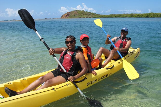 St Thomas Mangrove Lagoon Kayak and Snorkel Tour in the US Virgin Islands - Traveler Experiences and Feedback
