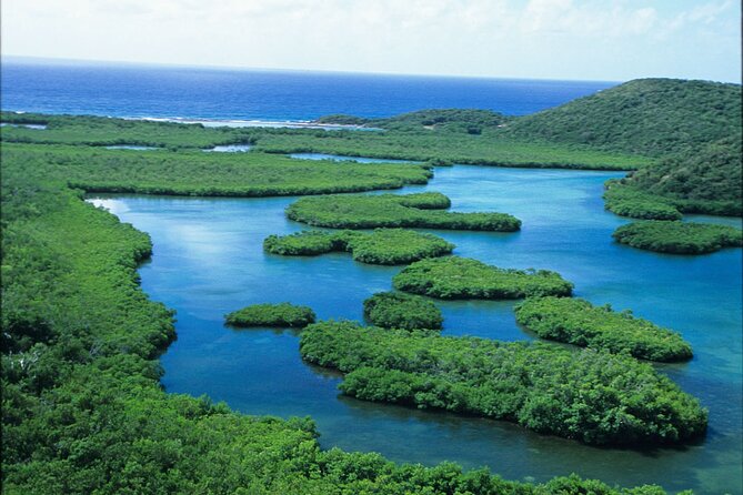 St Thomas Mangrove Lagoon Kayak and Snorkel Tour in the US Virgin Islands - Additional Information