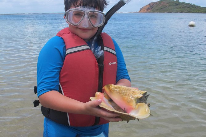 St Thomas Mangrove Lagoon Kayak and Snorkel Tour in the US Virgin Islands - Kayaking Through the Mangrove Lagoon