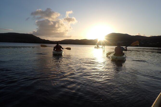 St Thomas Night Kayak Tour - Group Size and Age Restrictions