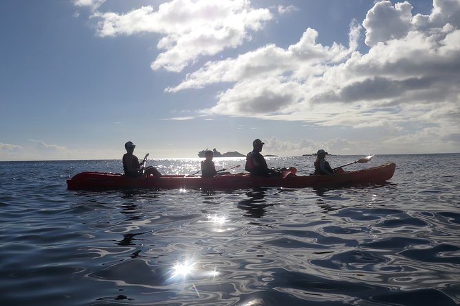 St Thomas Sea Turtle Snorkel Kayak Adventure Tour - Requirements and Restrictions