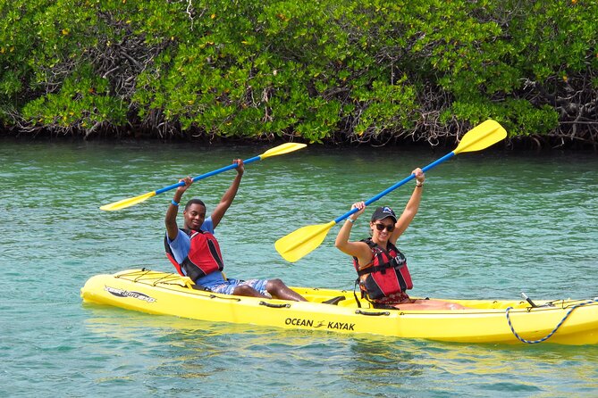 St Thomas Shore Excursion: Mangrove Lagoon Kayak and Snorkel Tour - Meeting Point and End Location