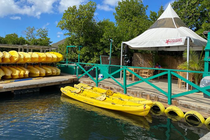 St Thomas Shore Excursion: Mangrove Lagoon Kayak and Snorkel Tour - Kayak and Snorkel Gear