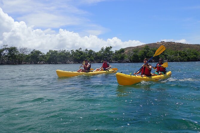 St Thomas Shore Excursion: Mangrove Lagoon Kayak and Snorkel Tour - Pickup and Transportation