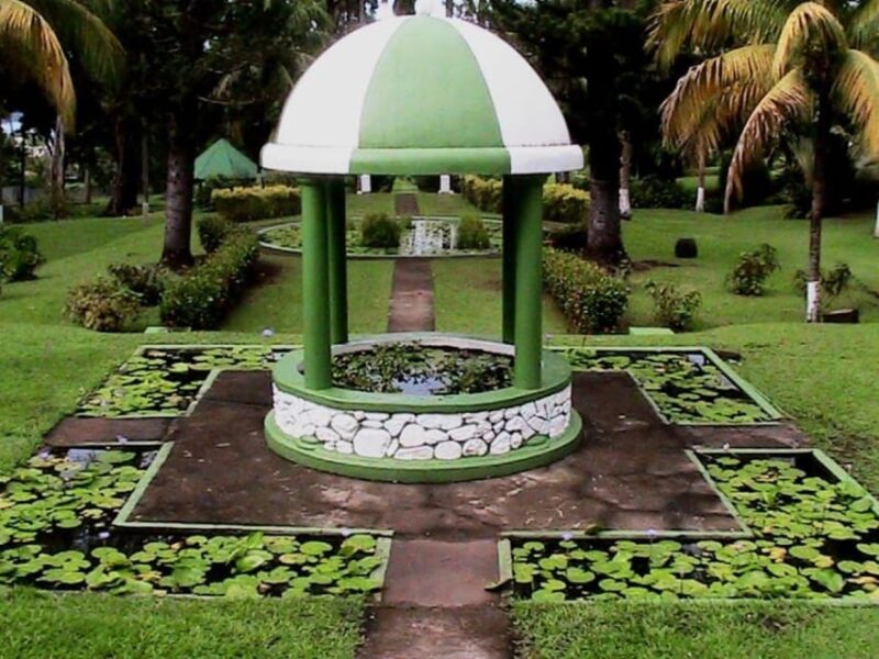 St. Vincent and the Grenadines: Kingstown City Tour - Discovering Local Market Square
