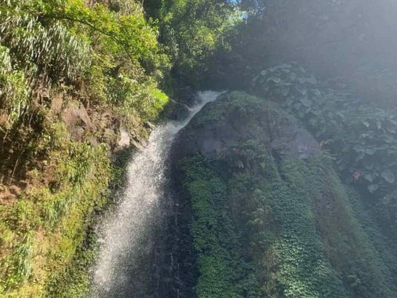 St. Vincent: Dark View Falls Tour - An In-Depth Look at the Dark View Falls Tour