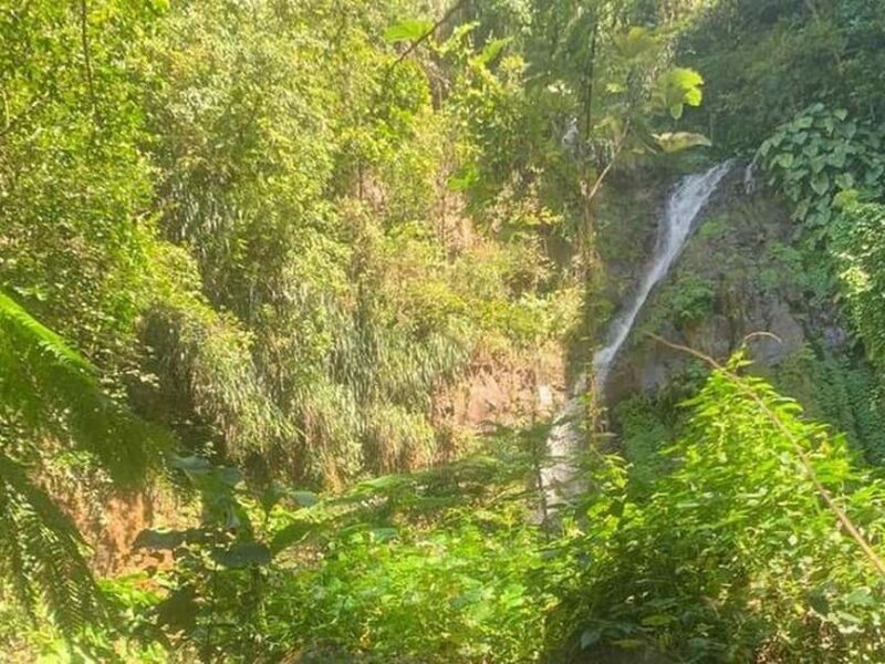 St. Vincent: Dark View Falls Tour - Authentic Experiences and Traveler Insights