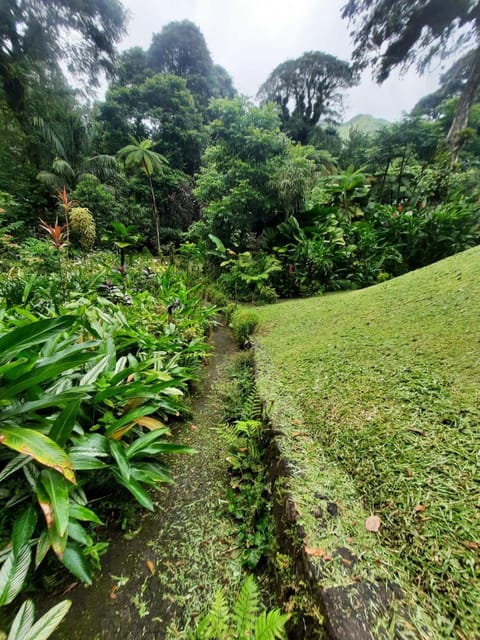 St Vincent: Montreal Gardens, Botanical Gardens & Fort Tour - Tour Overview and Pricing
