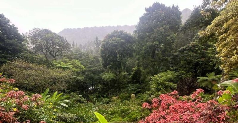 St Vincent: Montreal Gardens, Botanical Gardens & Fort Tour - Tour Highlights