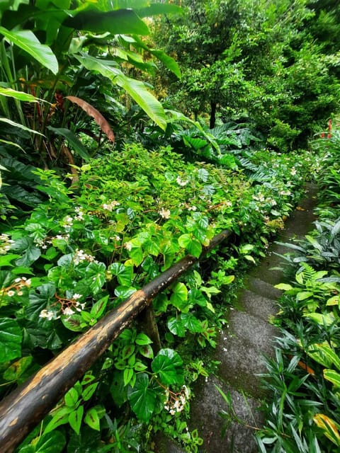 St. Vincent: Vermont Nature Trail - Preparation Recommendations
