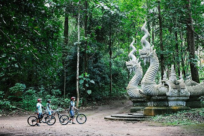 Stairway to Heaven Trail Mountain Biking Tour Chiang Mai - Good To Know