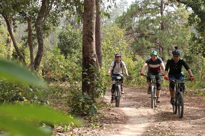 Stairway to Heaven Trail Mountain Biking Tour Chiang Mai - Traveler Experiences
