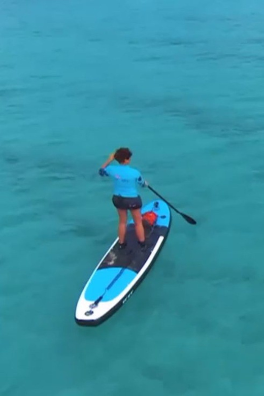 Stan Up Paddle Tour - Key Points