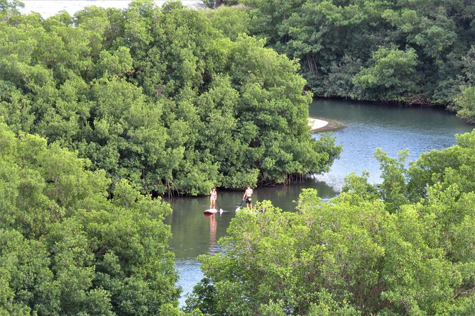 Stand Up Paddle Adventure in Guadeloupe - Tour Schedule and Availability