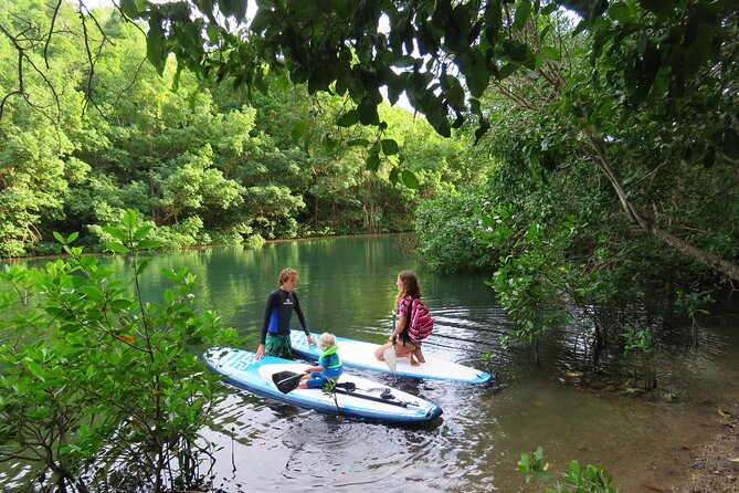 Stand Up Paddle Adventure in Guadeloupe - Enjoying the Paddle Adventure