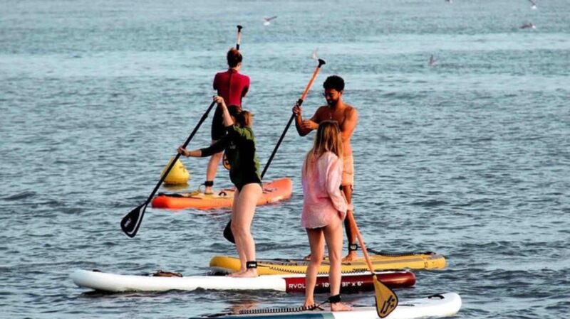 Stand up Paddle and Shopping CAP3000 - Key Points
