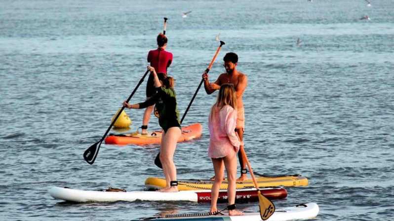 Stand up Paddle and Shopping CAP3000 - Rental Details