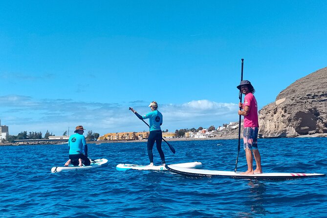 Stand up Paddle and Snorkeling Tour of Gran Canaria With Transfers South Area - Inclusions