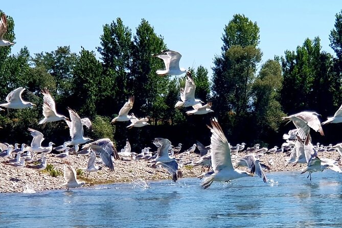 Stand up Paddle at Skadar Lake and Hiking From Valbona to Theth in 4 Days - Product Code for Reference