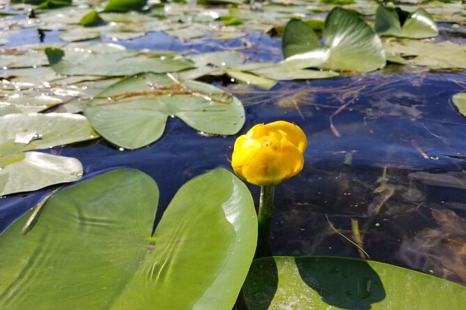 Stand up Paddle at Skadar Lake and Hiking From Valbona to Theth in 4 Days - Quick Answers in FAQs