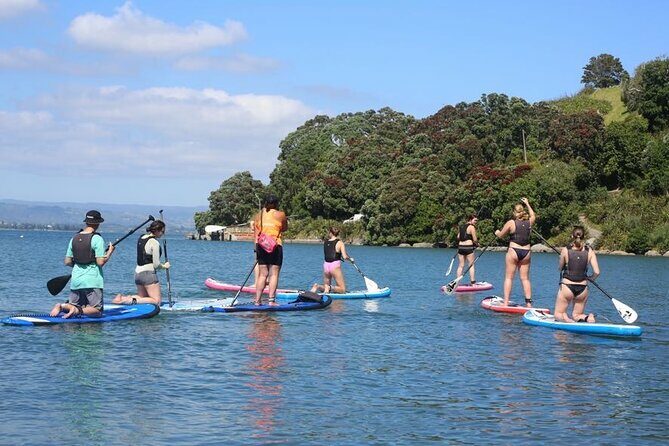 Stand Up Paddle Board Adventure in Mount Maunganui - The Sum Up