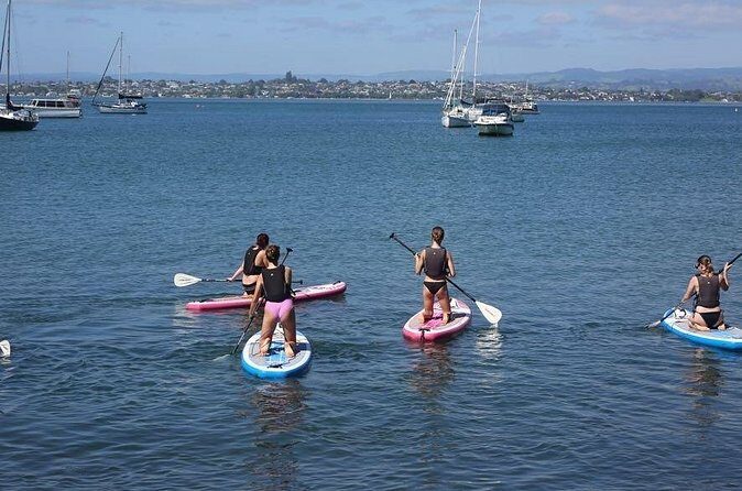 Stand Up Paddle Board Adventure in Mount Maunganui - FAQs