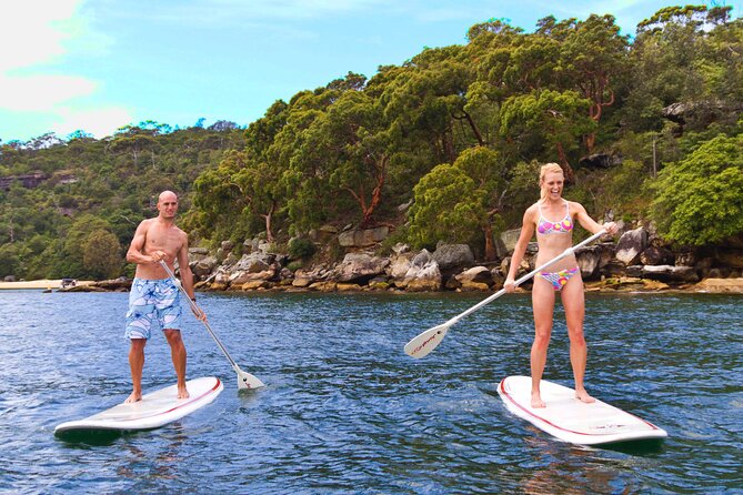 Stand Up Paddle Board Hire - 2 Hours - Activity Overview