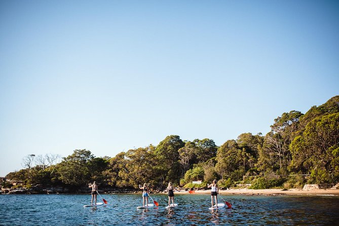 Stand Up Paddle Board Hire - 2 Hours - Location and Directions