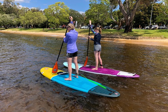 Stand Up Paddle Board Hire - Fun for the Whole Family